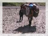 Toubkal4